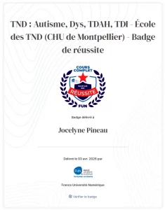 mooc tnd badge de réussite